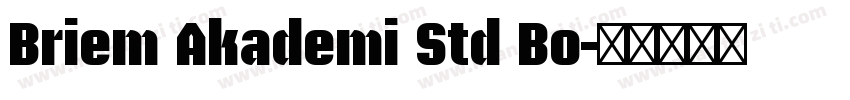 Briem Akademi Std Bo字体转换